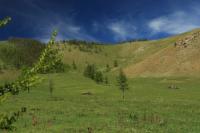 Mongolia - landscape
