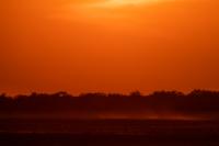 Botswana - landscape